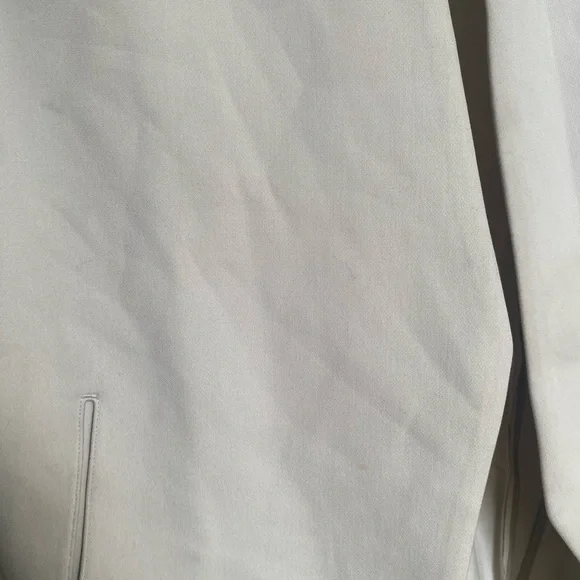 Aritzia Babaton New Power Blazer in Matte Pearl - Picture 11 of 11